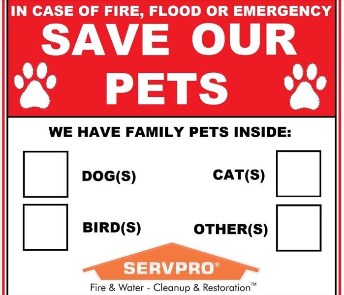 Save Our Pets!