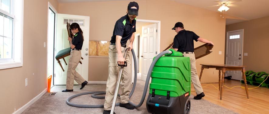 Arlington Heights, IL cleaning services